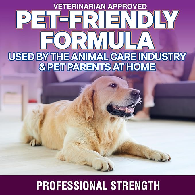 OdorPet Pet Stain Remover and Odor Eliminator - 16 Oz Ready To Use Spray, Non Staining, Professional Strength, Black Cherry Scent by Alpha Tech Pet