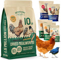 Bulk Dried Mealworms - 10 Lb Bag - Non-GMO Dried Mealworms for Chickens, Ducks & Wild Birds - High-Protein Chicken Feed & Bird Food