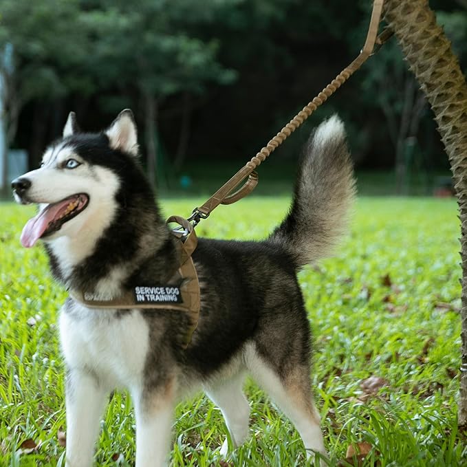 Excellent Elite Spanker Tactical Bungee Dog Leash Military Adjustable Dog Leash Quick Release Elastic Leads Rope with 2 Control Handle(Ranger Green)