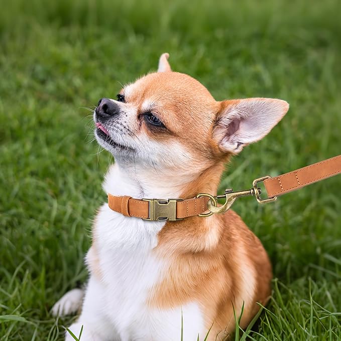 Didog Soft PU Leather Dog Collar, Stylish Quick Released Dog Collars for Small Dogs, Easy Clean Adjustable Pet Collar for Daily Walking, Light Brown, S Fit 10-16" Neck