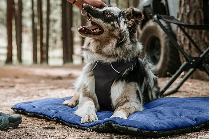 K9 Ballistics Tough Ripstop Dog Crate Pad - Durable & Machine Washable with Non-Skid Bottom and 120-Day Warranty, Fits 36" Wire Crates - Medium, Blue Quartz