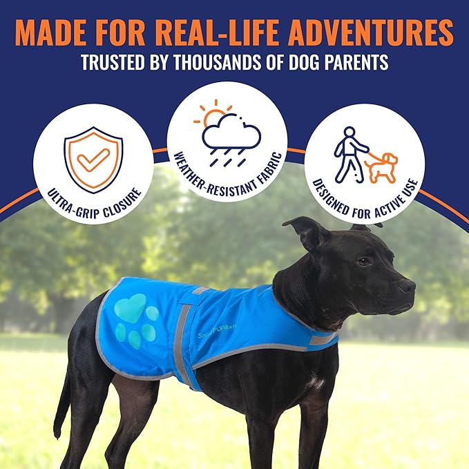 Dog Reflective Vest – Hi-Vis Fluorescent Visibility That Helps to Safeguard Your Pet On/Off Leash in Urban & Rural Areas (Blue, Medium)