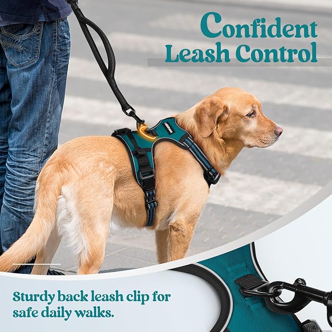 rabbitgoo Dog Harness No Pull with 2 Leash Clips, Adjustable Soft Padded, Reflective Oxford No Choke Pet Vest with Easy Control Handle for Small Dogs, Blue Coral, S