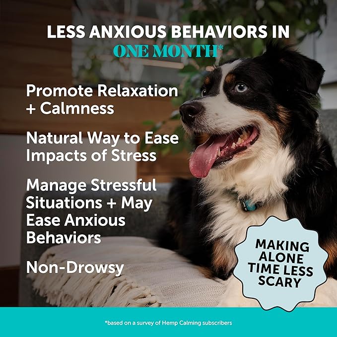 Natural Hemp Calming Chews for Dogs - Dog Anxiety Relief - Calming Aid Supplement with Valerian Root, Chamomile, + Magnesium - Stress, Separation & Thunder Support - (Beef Liver, 90 Count)