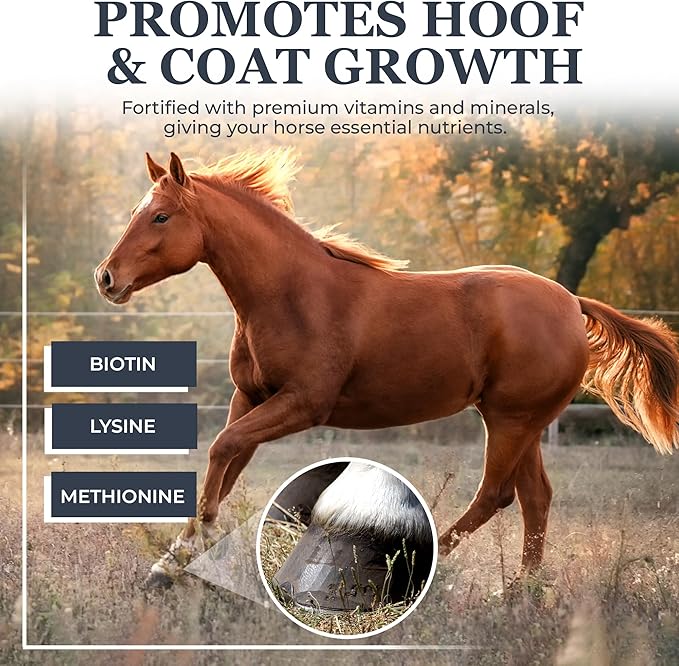 Equerry's Combined RX 4 Way | Equine Nutritional Support | Complete Formula | Digestive and Joint Support | Hoof & Hair | Probiotics Vitamins & Minerals 160 Feedings, 20lb.