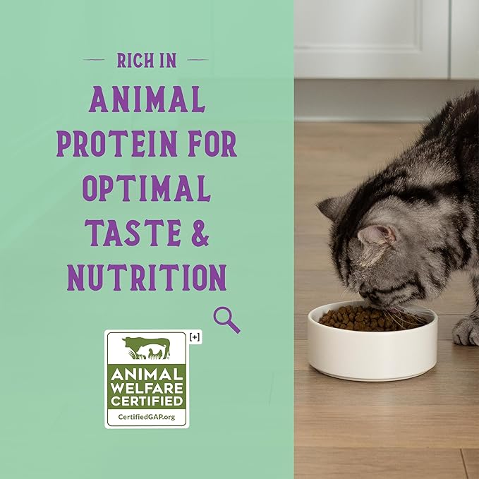 Open Farm Goodbowl, Protein Rich Dry Cat Food Made from Meticulously Sourced Simple Ingredients, Harvest Chicken & Brown Rice Recipe, 7lb Bag (112oz Bag)