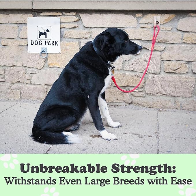 Canine Hitch- Secure Dog Leash Parking Mounted Indoor – Outdoor Wall Hook - Tie Out Stainless Steel Practical Lead Management for Home & Business, Standard Size 6 Pack