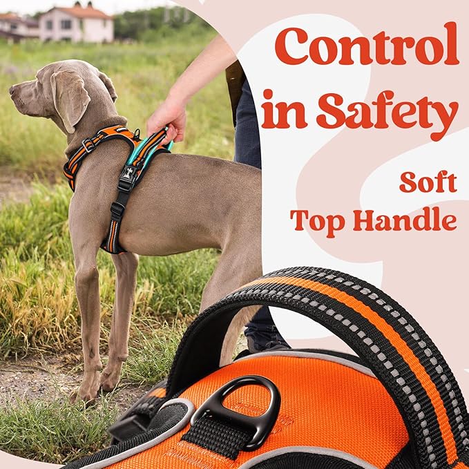 rabbitgoo Dog Harness for Large, No Pull Pet Harness with 3 Buckles, Adjustable Soft Padded Vest with Control Handle, Walking Reflective Pet Vest for Large Dogs, Orange, L