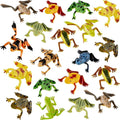 36 Pieces Plastic Frogs Toy Mini Vinyl Realistic Frog Decorations Fun Rain Forest Character Figures Lifelike Toy for Rana Crafting Party Supplies Home Decor Game