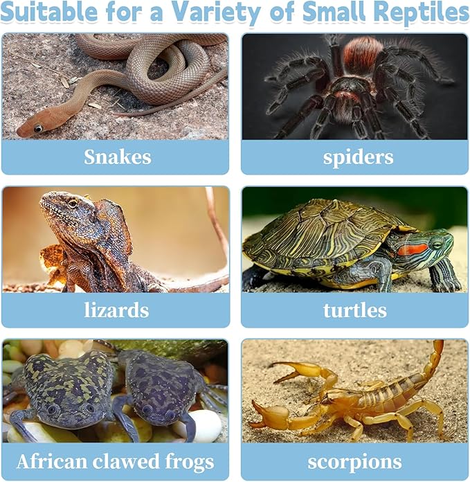 PINVNBY Reptile Feeding Box 6 PCS Snake Breeding Box Lizard Cricket Cage Habitat Hatching Container Transparent Portable Critter Keeper for Spider Scorpion Gecko Tortoise Treefrog (2 Large 4 Small)