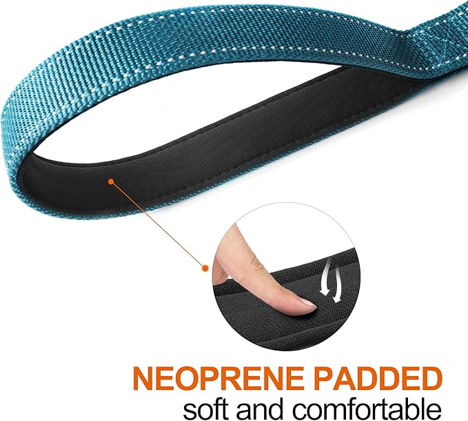 TwoEar 5FT 1IN Strong Blue Dog Leash with 2 Padded Handles, Traffic Handle Extra Control, Comfortable Soft Dual Handle, Auto Lock Hook, Reflective Walking Lead for Small Medium and Large Dogs