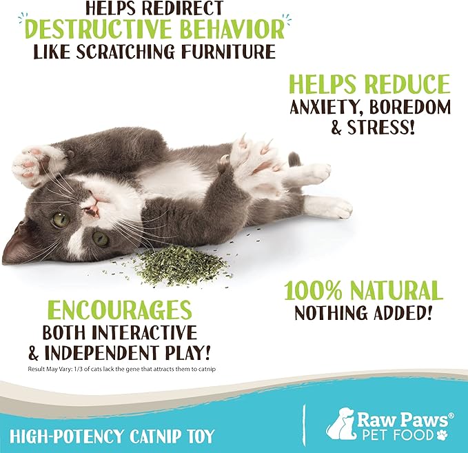 Raw Paws Fresh Catnip for Cats, 1-oz (2 Cups) - Use for Refillable Catnip Toys for Cats - Natural Dried Cat Nip