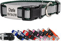 GoTags Reflective Personalized Dog Collar with Nameplate, Adjustable Dog Collar with Custom Engraved Steel Slide On Pet ID Tag, Silent, No Noise Dog Tag (Hunter Green, Medium)