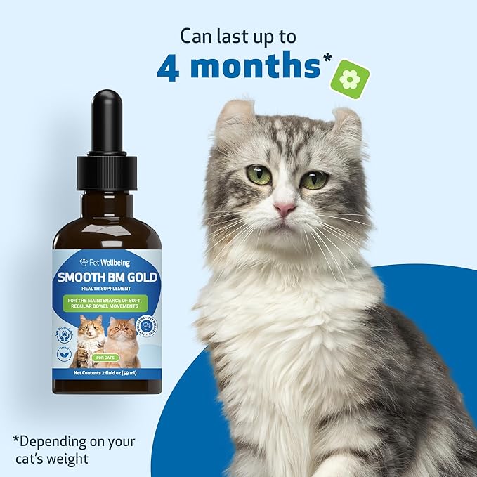 Pet Wellbeing Smooth BM Gold for Cats - Gentle Constipation Relief for Felines - Natural Herbal Supplement 2 oz (59 ml)