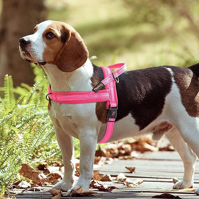 Didog No Pull Dog Harness with Soft Mesh Padded,Reflective & Quick Fit Light Weight Dog Strap Vest Harness,Easy for Walking Training (S:Chest 18-22", Pink)