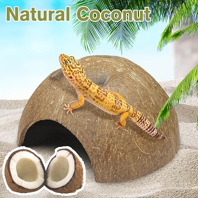 Hamiledyi 7 Pcs Reptile Hideouts Natural Coconut Shells Hut Leopard Gecko Tank Accessories for Aquarium Fish Hermit Crab Hide Cave Small Snake Tarantulas Lizard Chameleon (Without Fiber)