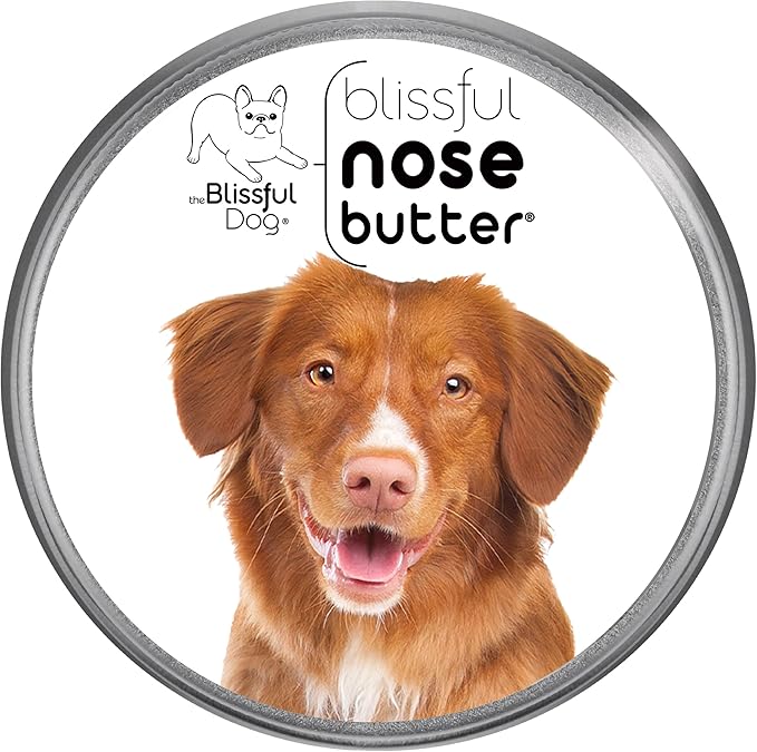 The Blissful Dog Nova Scotia Duck Tolling Retriever Unscented Nose Butter - Dog Nose Butter, 16 Ounce