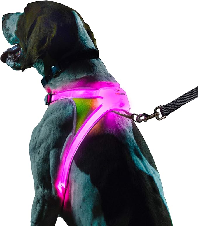 Noxgear LightHound – Revolutionary Illuminated and Reflective Harness for Dogs Including Multicolored LED Fiber Optics (USB Rechargeable, Adjustable, Lightweight, Rainproof) (Large)