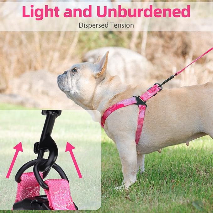 PUPTECK No Pull Dog Harness Soft Adjustable Basic Nylon Step in Puppy Vest Outdoor Walking with Leash