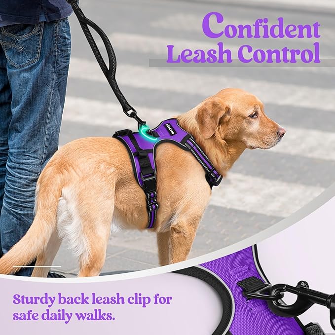 rabbitgoo Dog Harness No Pull with 2 Leash Clips, Adjustable Soft Padded, Reflective Oxford No Choke Pet Vest with Easy Control Handle for Small Dogs, Purple, S