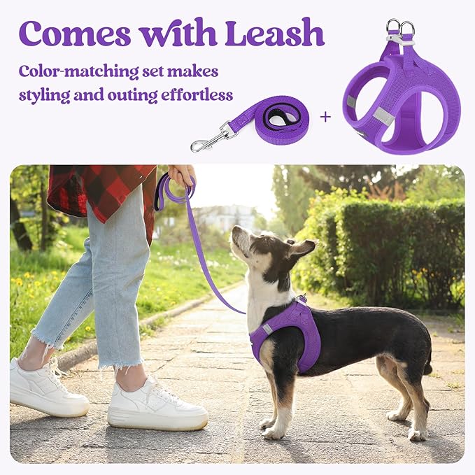 rabbitgoo Dog Harness Small Medium Sized and Leash Set, Step in Soft Light Puppy Vest, Breathable Mesh Pet Harness, Reflective for Safe Outdoor Walking, Purple L