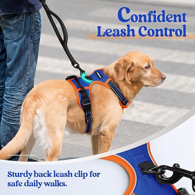 rabbitgoo Dog Harness No Pull with 2 Leash Clips, Adjustable Soft Padded, Reflective Oxford No Choke Pet Vest with Easy Control Handle for Small Dogs, Blue & Orange, S