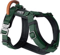 MADE TO ROAM Premium Explorer Harness - Y-Shaped Dog Harness with Adjustable Durable Nylon, Soft Padding, Metal Buckles and Leather Handle for Small, Medium, Large Dogs (Maine Marina, Size 5)