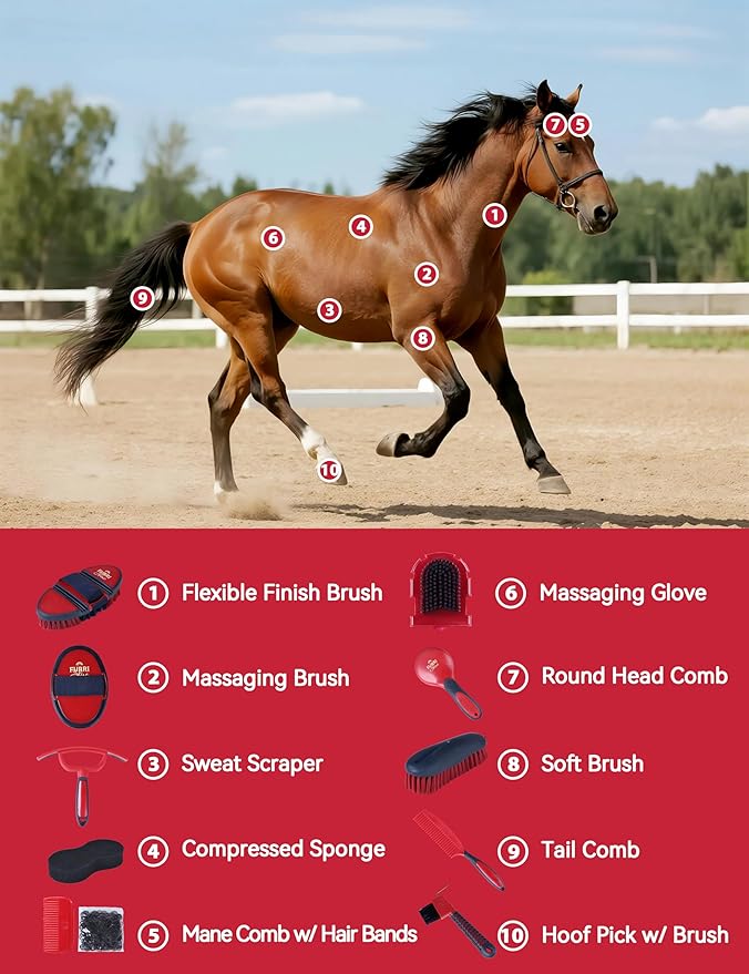 11PCS Horse Grooming Kit Curry Comb Sweat Scraper Horse Bathing Supplies Grooming Tools with Storage Bag Shadowberry