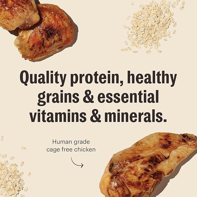 The Honest Kitchen Essential Clusters Dog Whole Grain Chicken 20 lb Bag