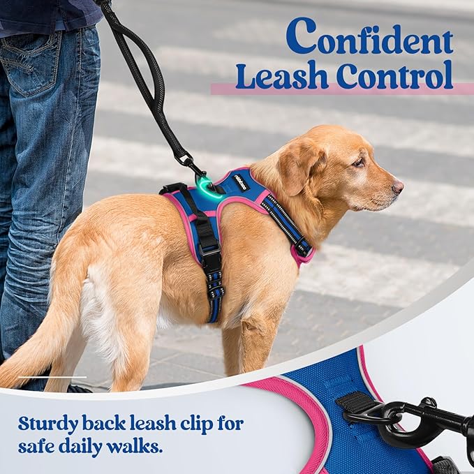 rabbitgoo Dog Harness No Pull with 2 Leash Clips, Adjustable Soft Padded, Reflective Oxford No Choke Pet Vest with Easy Control Handle for Large Dogs, Blue & Hot Pink, XL