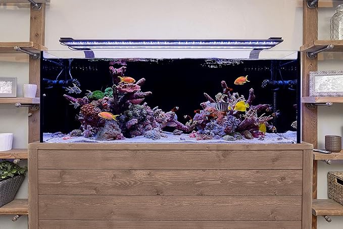 Current USA 24-36" Inch Orbit Marine LED Saltwater Reef Marine Aquarium Light | 24 Hour IR Lighting & eFlux Wave Pump Control | Adjustable Color Spectrum for Fish Tank (4101)