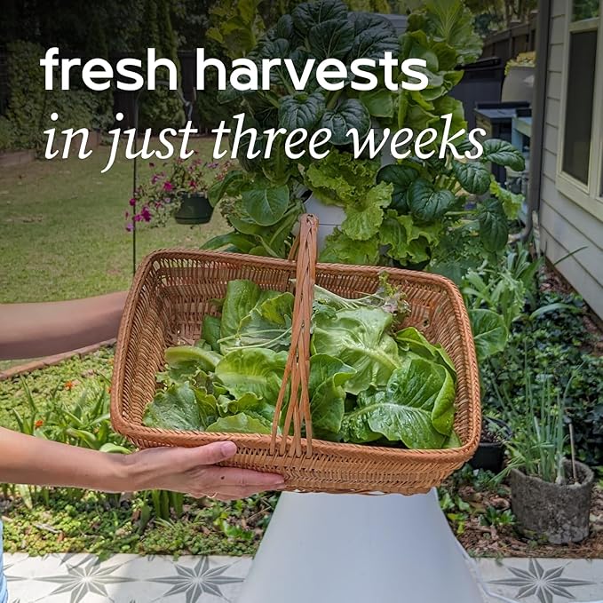 Farmstand Starter Kit + 24 Seedling Credit | Medium Hydroponic Growing System Kit | Self-Watering Outdoor Vertical Garden Planter Tower | 4ft 10in | Made in USA