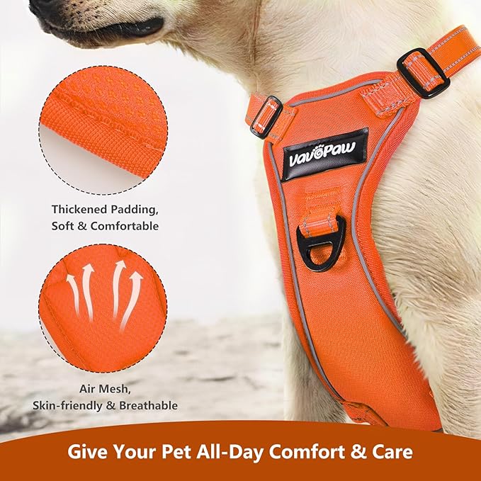 Dog Seat Belt Harness for Car, Dog Car Harness Adjustable Mesh Breathable & Dogs Seatbelt Safety Tether with Elastic Bungee for Small Medium Large Pets(Orange, S)