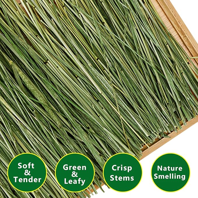 Timothy Hay 1.1LB - Dust Free Natural Green Fresh Food Hay for Rabbits Tortoise Guinea Pig Chinchilla