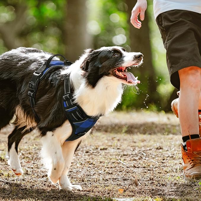 rabbitgoo Dog Harness No Pull with 2 Leash Clips, Adjustable Soft Padded, Reflective Oxford No Choke Pet Vest with Easy Control Handle for Large Dogs, Blue Plaid, L