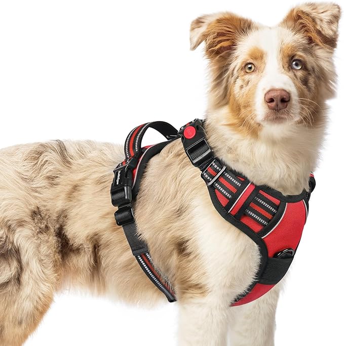 rabbitgoo Dog Harness Medium Sized, No Pull Pet Harness with 3 Buckles, Adjustable Soft Padded Vest with Control Handle, Walking Reflective Pet Vest for Medium Dogs, Red, M