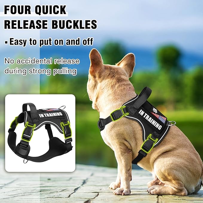 WINSEE Service Dog in Training Harness with 5 PCS Patches, Reflective Tactical Dog Vest Harness, Adjustable Soft Oxford Pet Harness with Easy Control Handle, Hook & Loop Panels for Walking Hiking