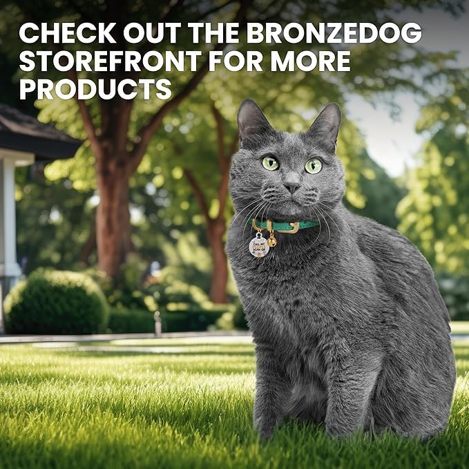 BRONZEDOG Leather Cat Collar with Removable Bells Non Breakaway Kitten QR Tag for Girl Boy (9" - 12" Cats/Mini Dogs, Red & Silver)