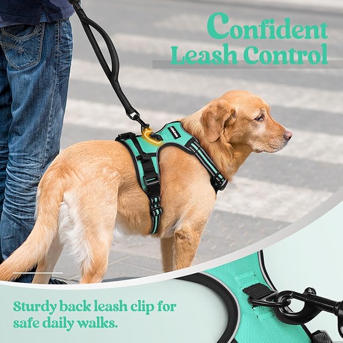 rabbitgoo Dog Harness No Pull with 2 Leash Clips, Adjustable Soft Padded, Reflective Oxford No Choke Pet Vest with Easy Control Handle for Large Dogs, Turquoise, XL