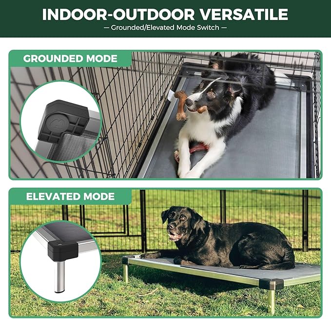 FXW TitanNest Chew-Proof Elevated Dog Bed, Raised Cot for Indoor/Outdoor/Camping Use, Durable & Washable Padded Pet Bed for Toy Dogs, 23.0" L x 17.0" W x 4.5" H, Black