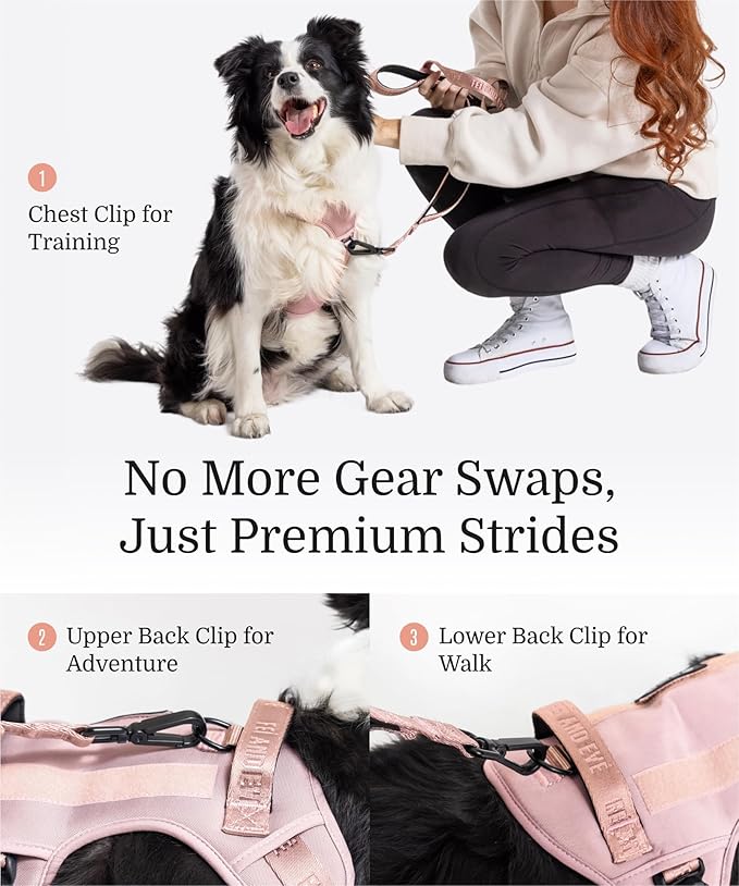 2025 New Edition, Fei & Eve MagEase Dog Harness - 3-Second Magnetic Buckles | 3-Point No-Pull Control | Heavy-Duty 900D Nylon | Dual Safety Handles | Breathable Mesh | Adjustable Fit | Medium, Pink
