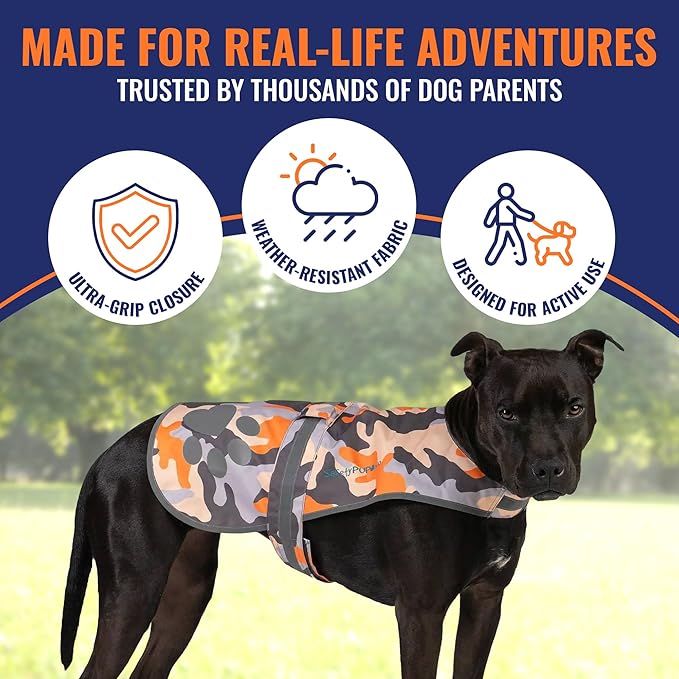Dog Reflective Vest – Hi-Vis Fluorescent Visibility That Helps to Safeguard Your Pet On/Off Leash in Urban & Rural Areas (Camo, Medium)