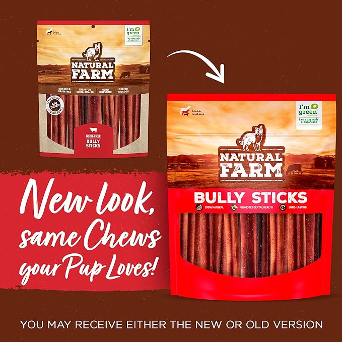 Natural Farm Odor-Free Thick Bully Sticks (12”, 10-Pack) All-Natural Long-Lasting Dog Chews, 100% Beef Pizzle, Grass-Fed, Grain-Free, Protein for Muscle Development & Energy, Perfect for Large Dogs