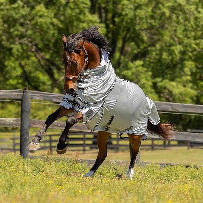 HORZE Warren Soft Adjustable Genuine Leather Horse Halter | Stainless Steel Hardware - Light Brown - Cob