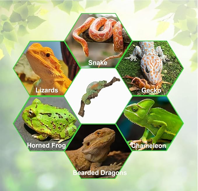 BNOSDM Reptile Climbing Branches Decor,Snake Climbing Branch,Gecko Climb Wood,Lizard Forest Branch,Tank Habitat Tree Trunk Decorations for Bearded Dragons,Chameleons,Spider,Frogs (XL)