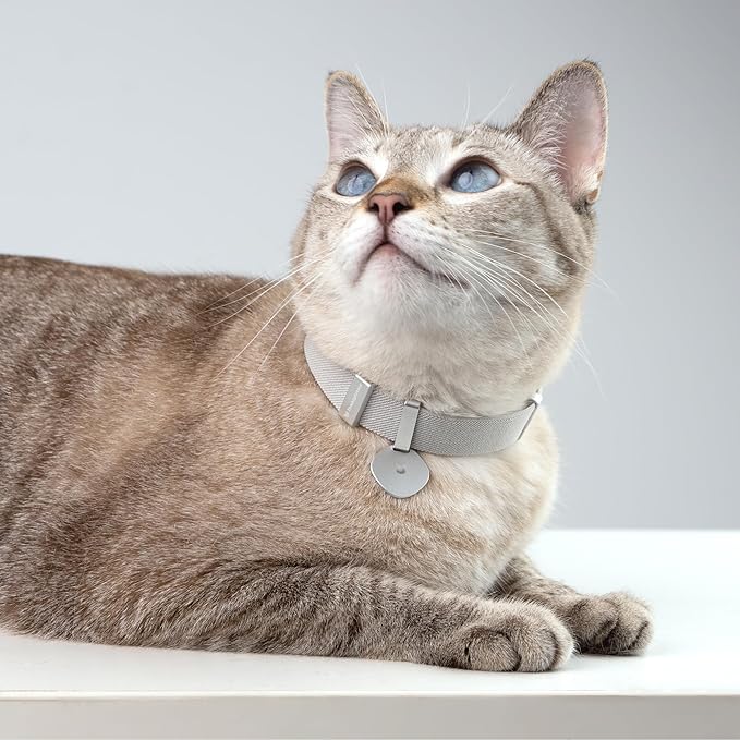 Safety Cat Collar Pro and Tag Set - U.S. IDA Gold Award, Elastic Release Cat Collar Charm Tag, Non Breakaway Cat Collar Adjustable with Charm for Kitten Small Large Cats (Glacier Silver, M)