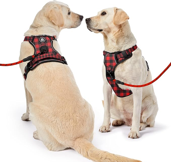 NESTROAD No Pull Dog Harness with Leash, Reflective No Choke Pet Vest Harness,Adjustable Soft Padded Dog Harness with Easy Control Handle for Small Dogs(Checkered Red,Small)