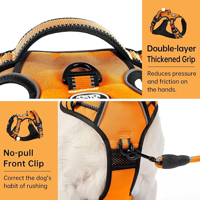 IVY&LANE No Pull Dog Harness for Large Dogs, Dog Vest Harness with Leash, Safety Belt and Storage Strap, Fully Adjustable Harness, 360° Reflective Strip, Soft Handle (Orange, L)