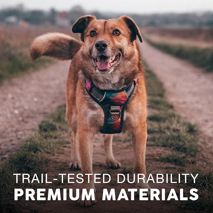 Embark Adventure Dog Harness, Reflective Trim No Pull Dog Harnesses for Small Sized Dogs - Military Grade Nylon, Front Clip with Gel Lined Handle. Soft & Padded Puppy