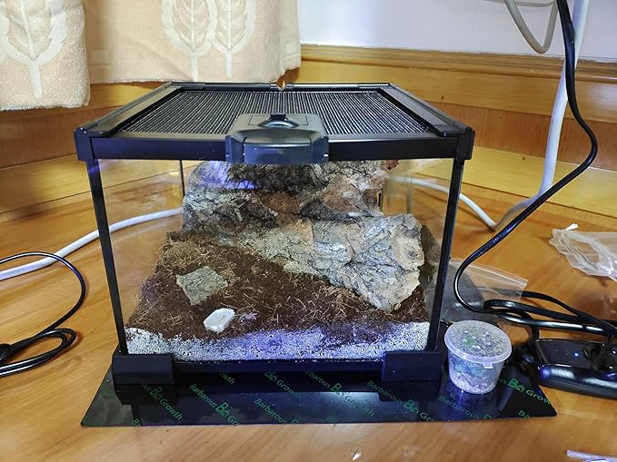 Mini Reptile Glass Terrarium Tank, cage for Tarantula Sling Geckos, Frog, Lizards, Chameleons,Turtles Snake Snail Insect Hermit Crab Isopods Reptiles Enclosure (7.9x7.9x5.7inch)